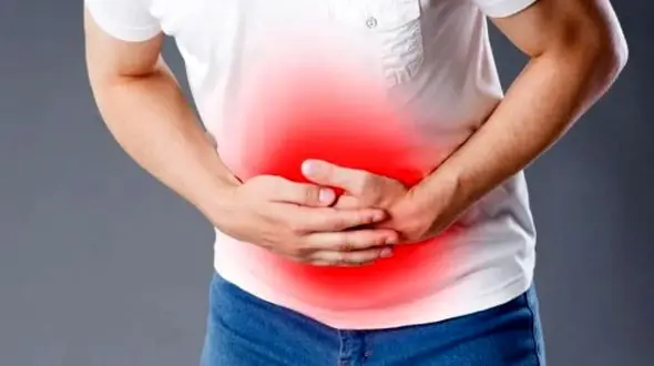 3 گیاه بی‌ نظیر برای آرامش معده و درمان مشکلات گوارشی