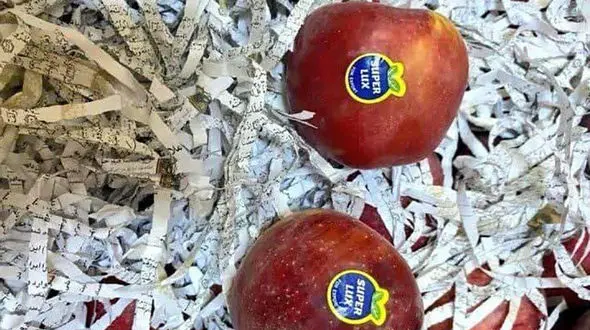 هتک حرمت به قرآن  در بین میوه های صادراتی ! / شرکت تجاری باید شناسایی شود!