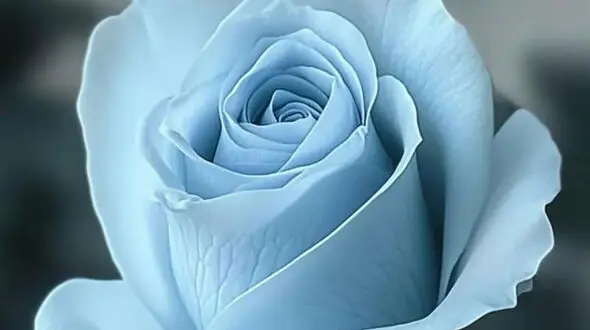 فال ابجد امروز چهارشنبه 20 اسفند 1404