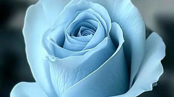 فال و طالع بینی امروز 7 آبان 