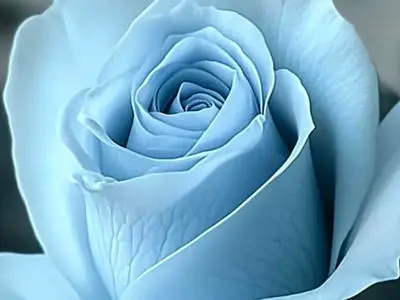 فال و طالع بینی امروز 7 آبان