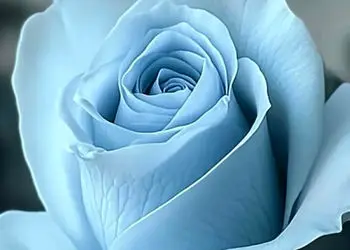 فال و طالع بینی امروز 7 آبان