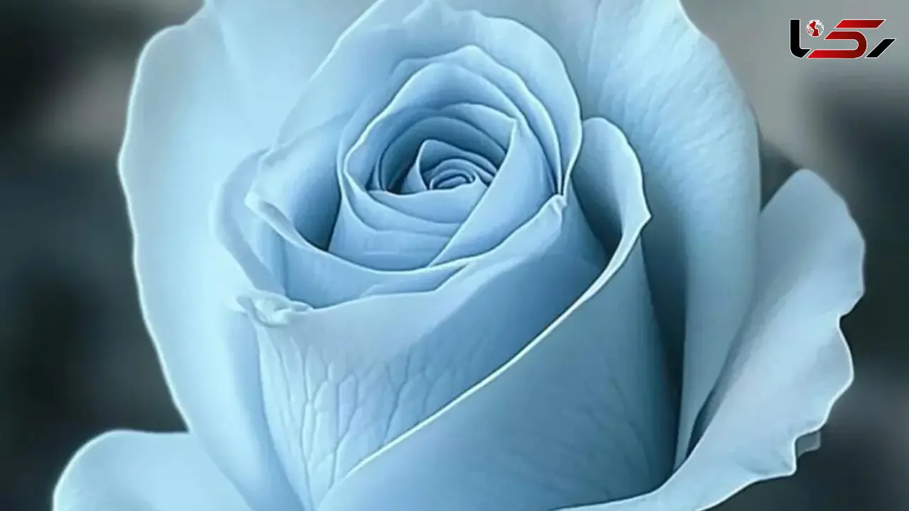 فال ابجد امروز چهارشنبه 20 اسفند 1404