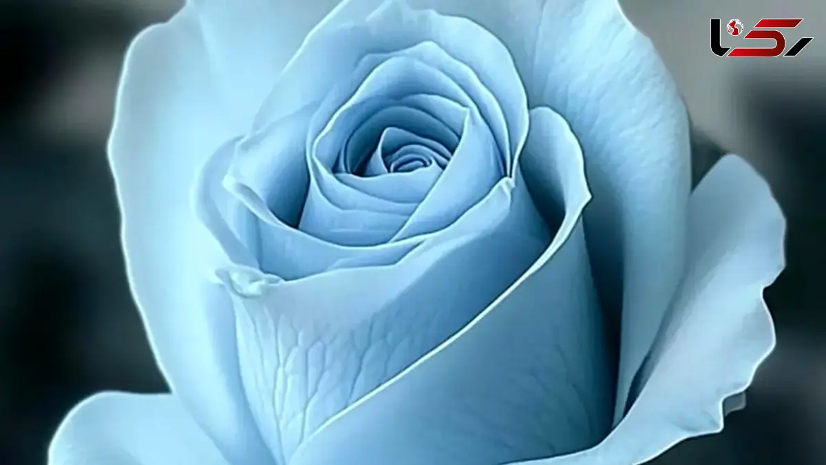 فال و طالع بینی امروز 7 آبان