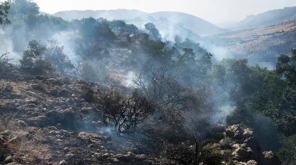 هشت کانون آتش در جنگل های سیاهکل گیلان خاموش شد