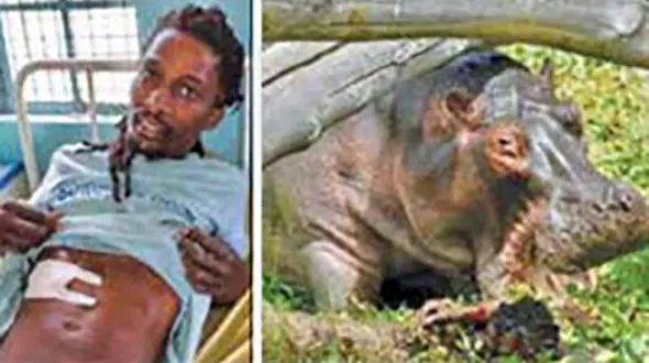 نجات معجزه آسای ماهیگیر از حمله موجود دریایی+ عکس 