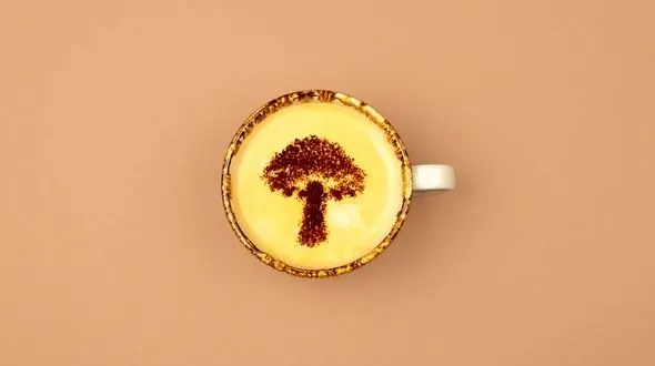 تعبیر قارچ در فال قهوه + 4 تعبیر مثبت و منفی را حتما بخوانید