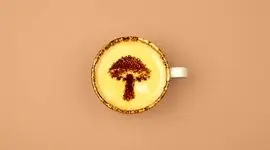 تعبیر قارچ در فال قهوه + 4 تعبیر مثبت و منفی را حتما بخوانید