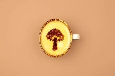 تعبیر قارچ در فال قهوه + 4 تعبیر مثبت و منفی را حتما بخوانید