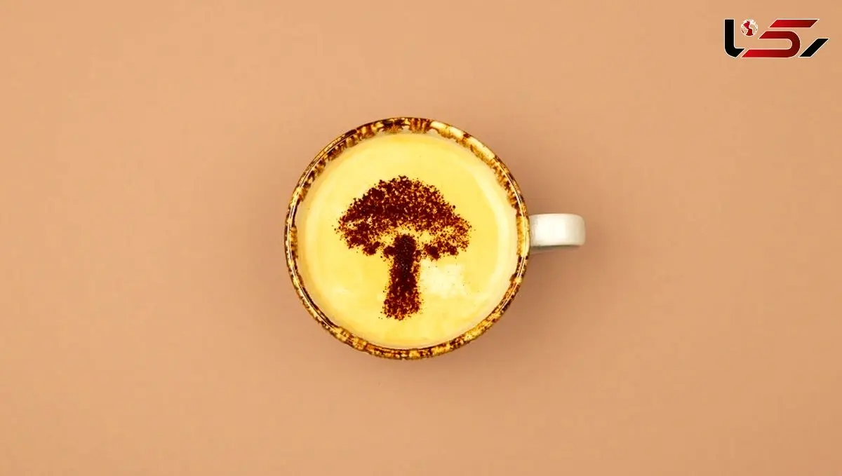 تعبیر قارچ در فال قهوه + 4 تعبیر مثبت و منفی را حتما بخوانید