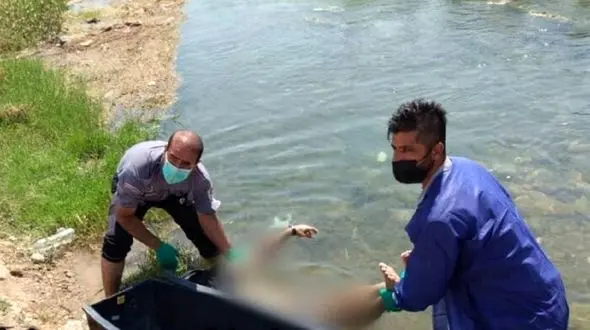 آغاز تحقیقات پلیس و علوم پزشکی دزفول درباره کشف جسد مردی با لباس بیمارستان در کانال آب+ عکس