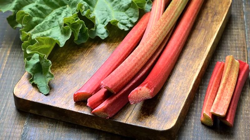 نحوه رنگ کردن مو با ریواس