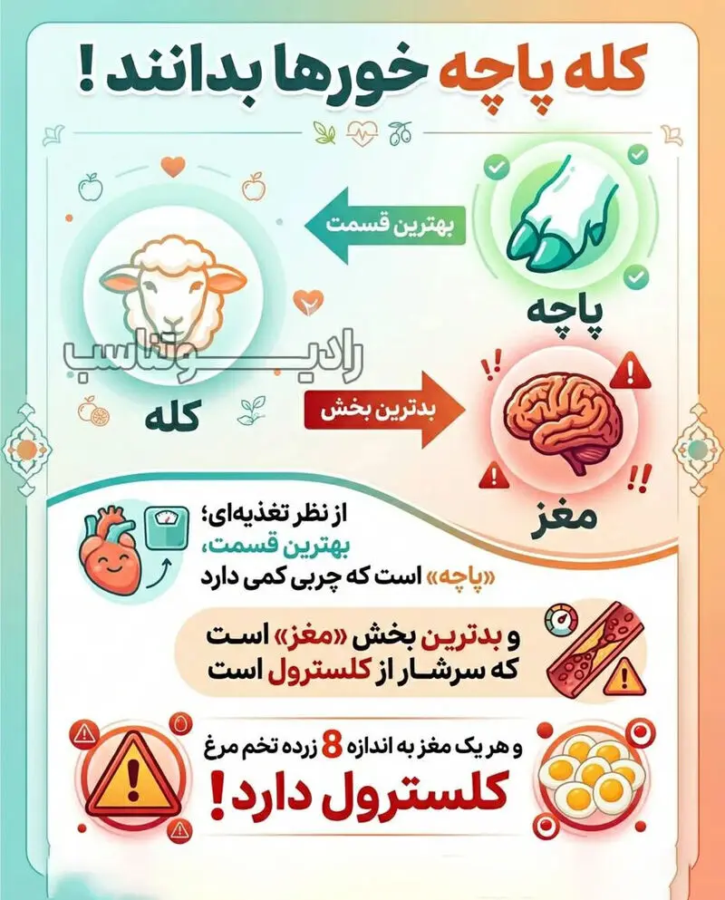 کله پاچه
