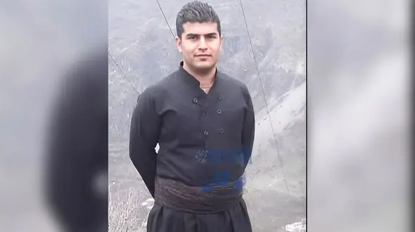 زنبور وحشی جوان سردشتی را کشت / 20 نفر دیگر به همین علت در شهری دیگر در بیمارستان هستند