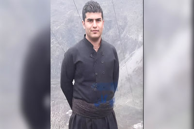 زنبور وحشی جوان سردشتی را کشت / 20 نفر دیگر به همین علت در شهری دیگر در بیمارستان هستند