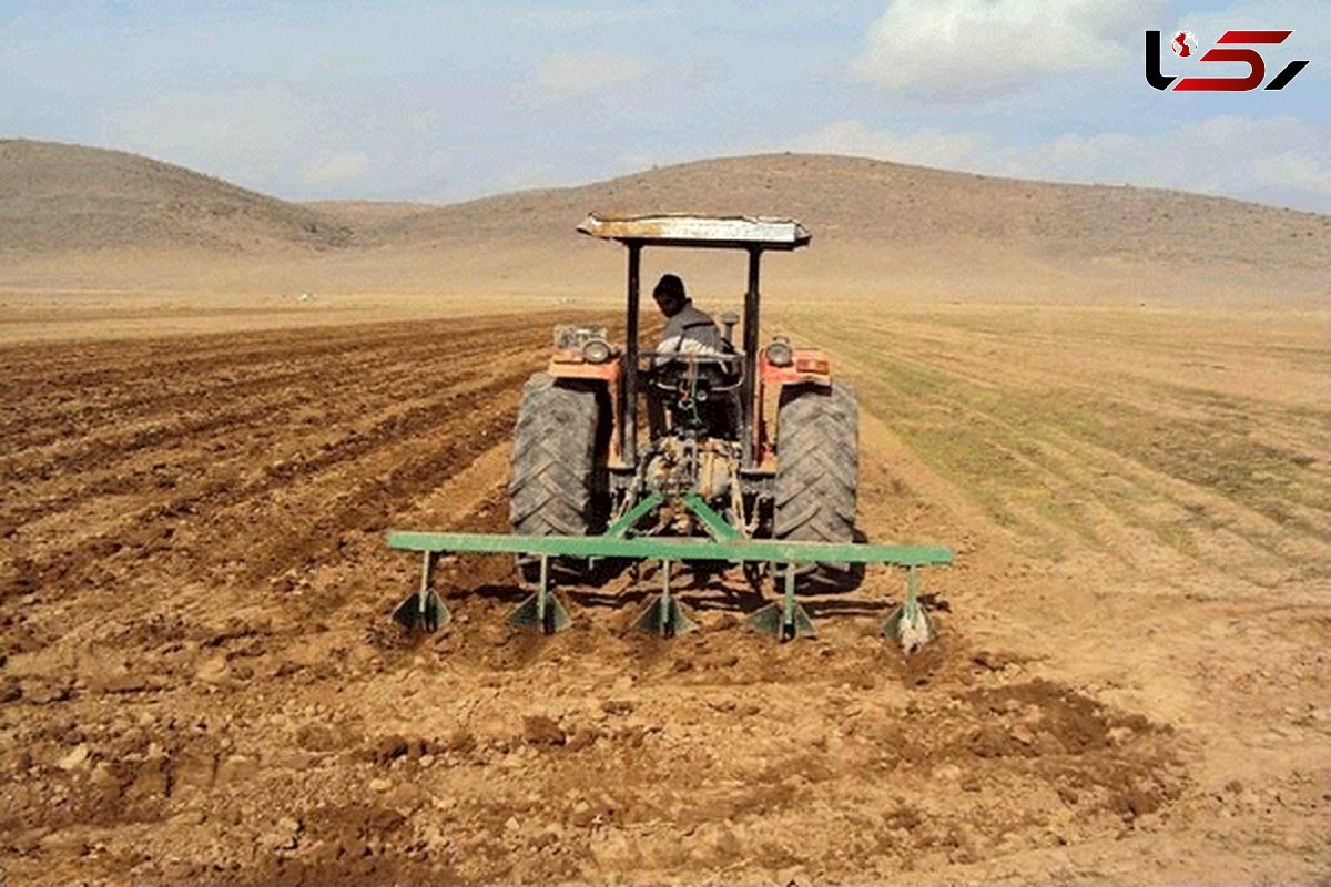 آغاز طرح کشت قراردادی گندم از امروز در گلستان 