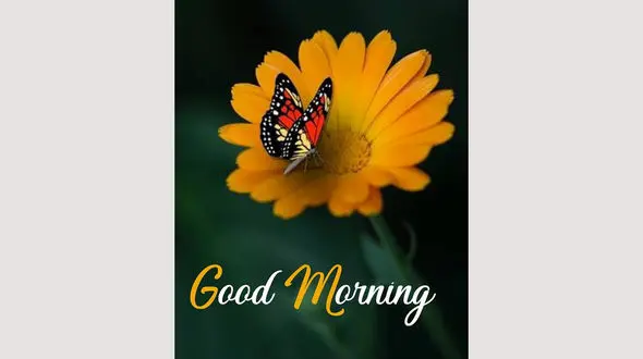 فال روزانه شخصی/ 27 شهریور ماه + فیلم