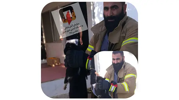 نجات گربه از یخچال در بابلسر + عکس