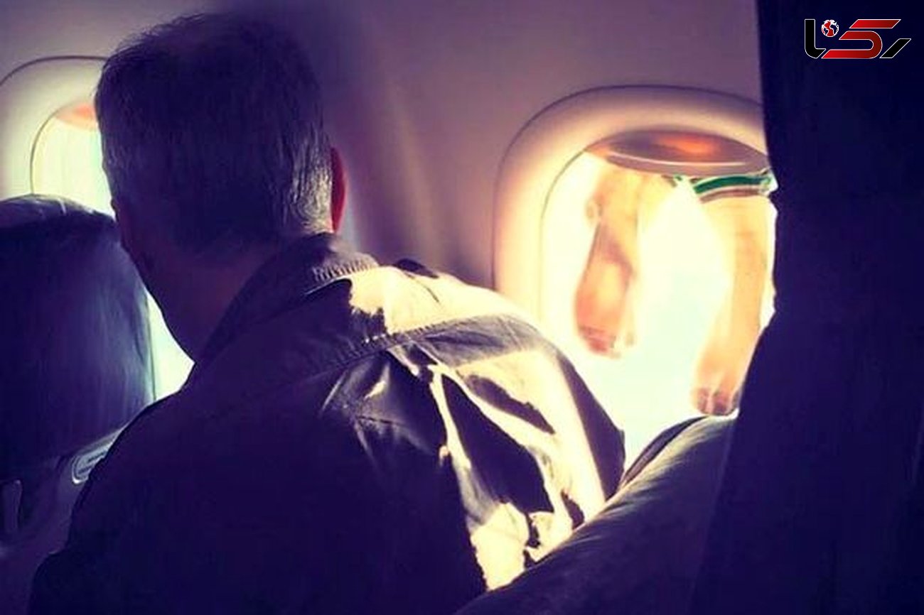 حرکت زشت یک مسافر در هواپیمای خارجی + عکس