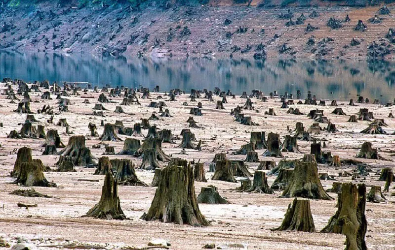 نابودی جهان