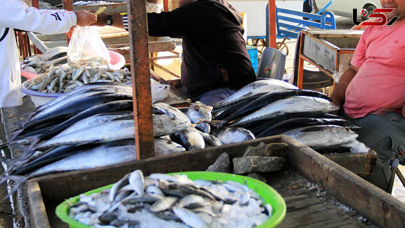 قیمت جدید ۱۷ نوع ماهی در بازار