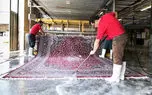 قالیشویی در حال جمع شدن و حذف از سبد خانوار است / نحوه استعلام قالیشویان مجاز