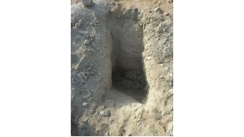 انتخابات