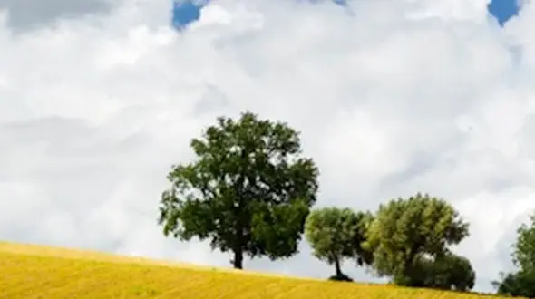 ببینید طبیعت زیبای ایران را