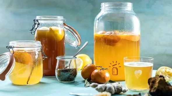 نوشیدنی جادویی سفره‌ های نوروزی؛ کامبوجا، یاران سبک‌بال مهمانی+ فیلم طرز تهیه