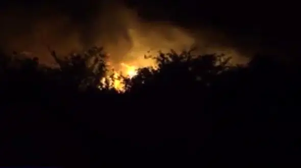  5 هکتار از جنگل‌های گیلان خاکستر شدند + فیلم