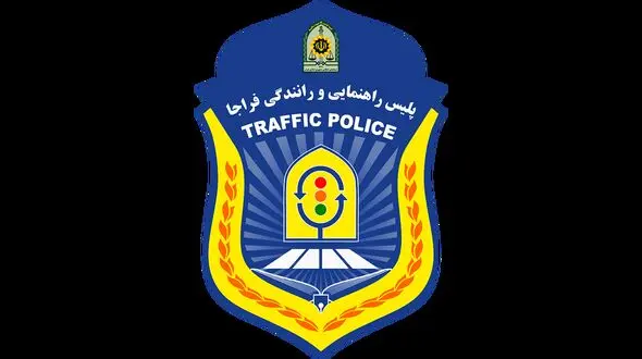 ببینید | عصبانیت یک شهروند از تصمیم عجیب پلیس
