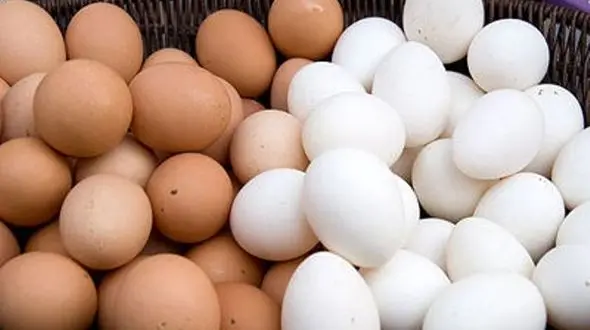 مخالفت عمده فروشان و مرغداران با کاهش قیمت تخم‌مرغ