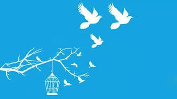 آزادی یک مادر از زندان فردیس / علت دستگیری اش چه بود؟