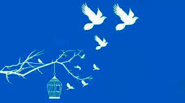 آزادی  ۱۱۵۶ زندانی با دستور ویژه رئیس قوه قضاییه 