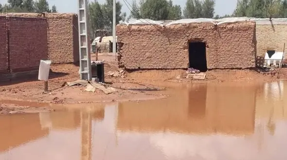 فیلم تکان دهنده از خرابی خانه ها تا مرگ دام ها در سیل جازموریان 