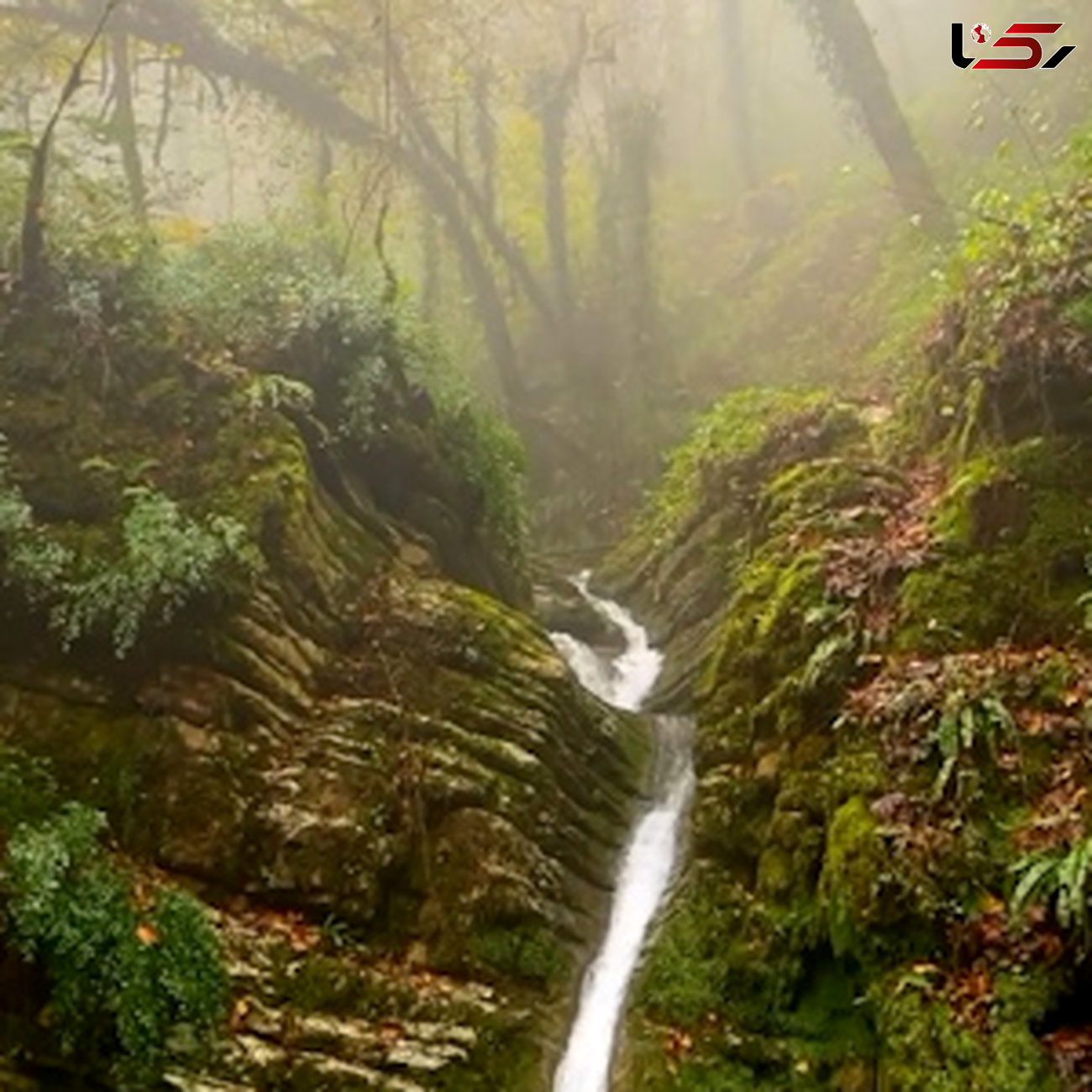 ببینید / زلال ترین آبشار شمال ایران + فیلم 