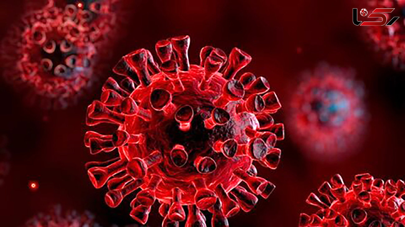 کرونا ویروس قبل از تولید واکسن از بین می رود؟