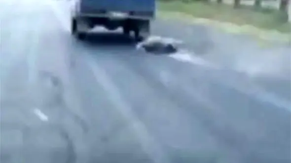 این سگ کش ها را می‌شناسید ؟ + فیلم سگ را با طناب به نیسان وانت بستند!