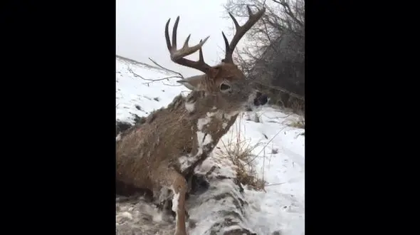 کشف جسدی که زنده زنده منجمد شد+عکس