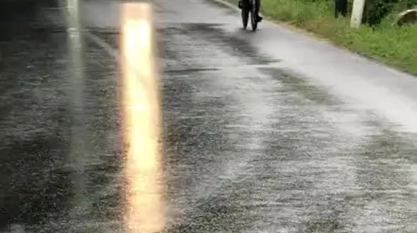 ببینید / لغزندگی جاده کار دست دوچرخه سوار داد + فیلم 