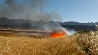 4 هکتار از مزارع جو دیم افزر در آتش سوخت