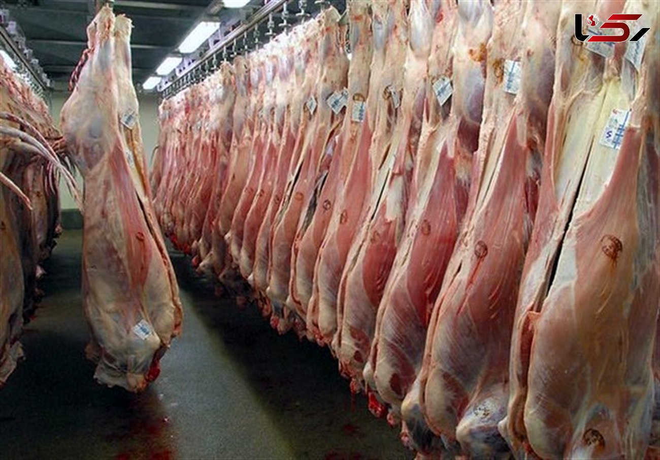 گوشت وارداتی چرا بالاتر از قیمت جهانی دست مردم می‌رسد؟

