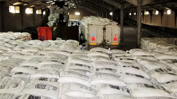 چرا وزارت جهاد کشاورزی با مافیای برنج برخورد نمی کند؟ + فیلم