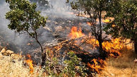 آتش‌سوزی در کوه الوند بهمئی/ اعزام نیروهای امدادی برای مهار آتش
