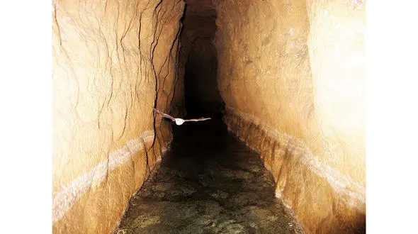 از قنات تا تونل های مخفی انتقال آب