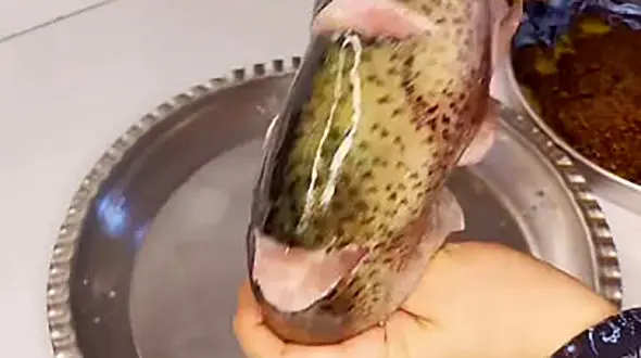 نکات مهم در درست کردن ماهی 