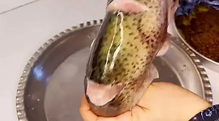 نکات مهم در درست کردن ماهی 
