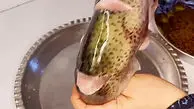 نکات مهم در درست کردن ماهی 