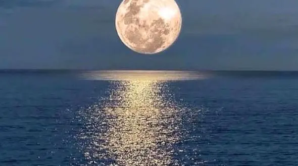 آرامش شبانه در آغوش دریا