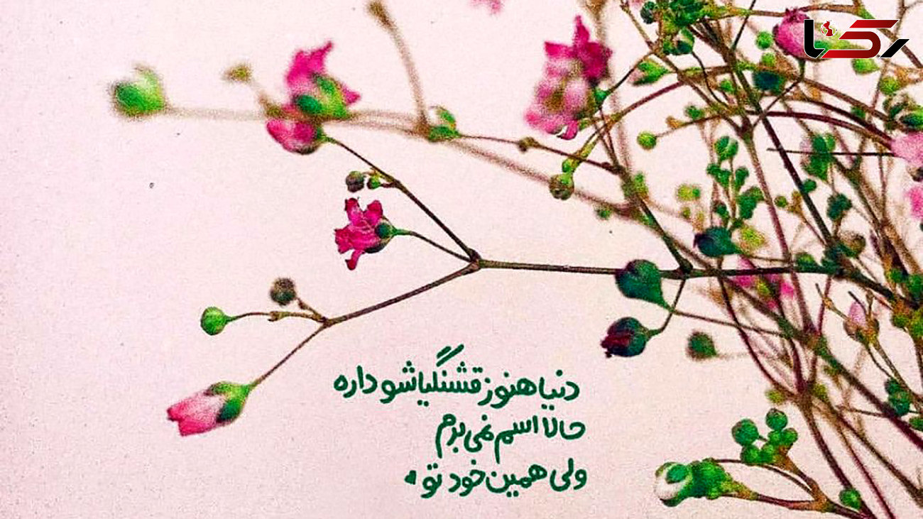 فال روزانه شخصی/ 21 خرداد ماه + فیلم